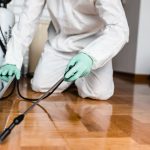Disinfestazione e derattizzazione Roma