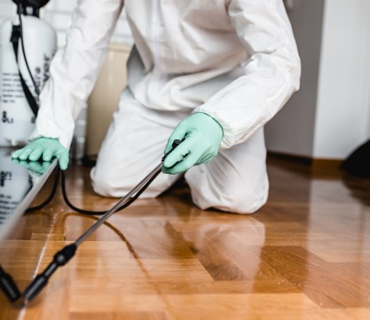 Disinfestazione e derattizzazione Roma