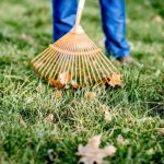 Manutenzione giardini a Roma