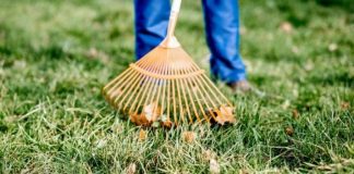 Manutenzione giardini a Roma