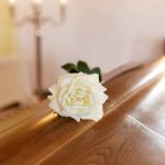 Organizzazione funebre Roma