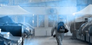 Disinfezione Parassiti Roma