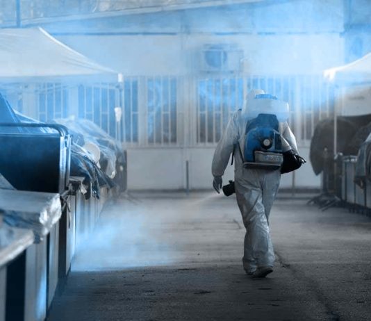 Disinfezione Parassiti Roma