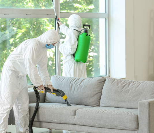 Disinfestazioni Acari