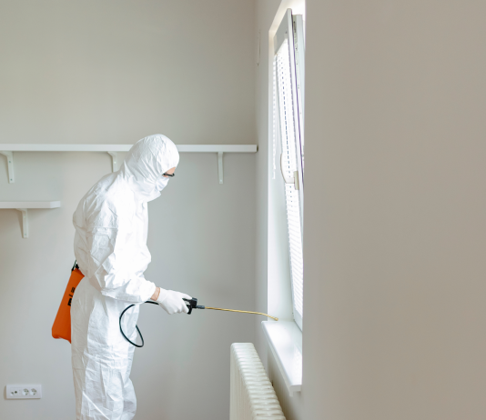 Disinfestare zanzare a Roma Disinfestare zanzare a Roma