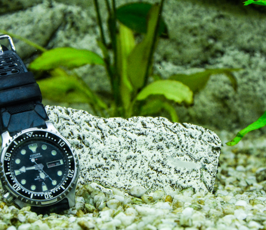 GTM Master Roma GTM Master Roma